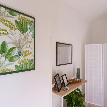 Valley Mills Window * סורנטו