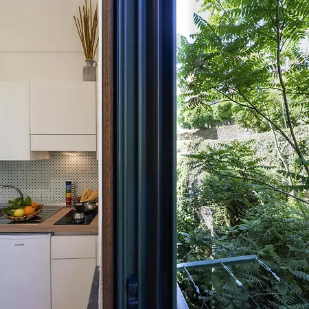 Valley Mills Window * סורנטו